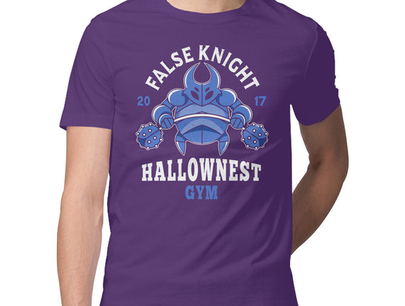 False Knight Gym