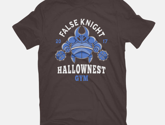 False Knight Gym