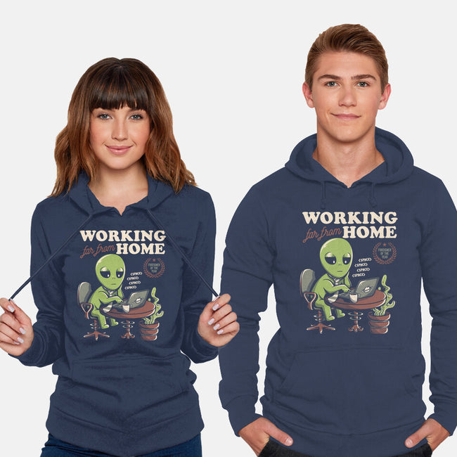 Working Far From Home-unisex pullover sweatshirt-eduely