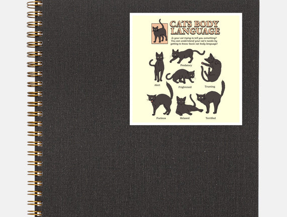 Cats Body Language