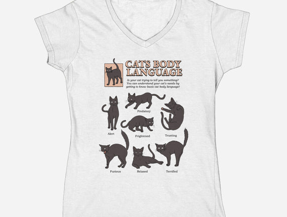 Cats Body Language