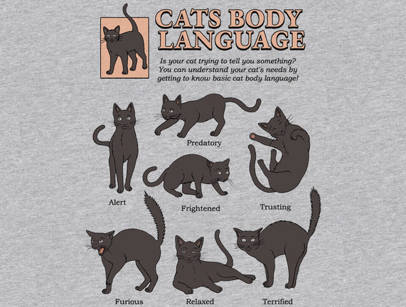 Cats Body Language