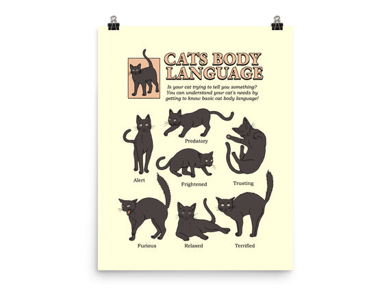Cats Body Language