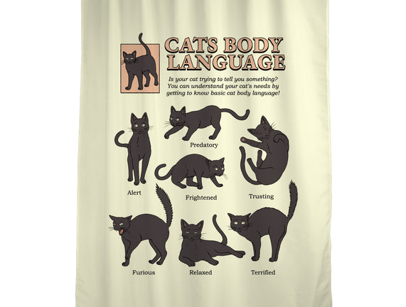 Cats Body Language