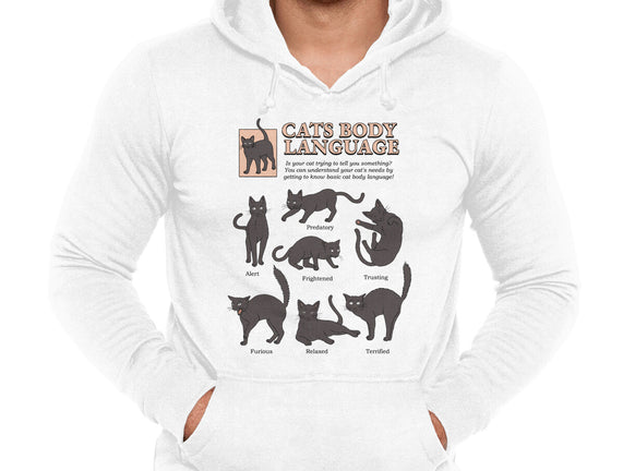 Cats Body Language