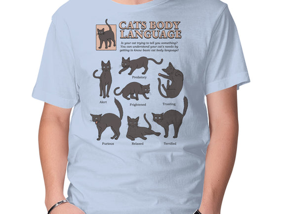 Cats Body Language