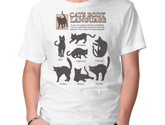 Cats Body Language