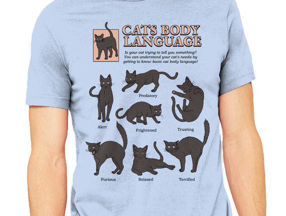 Cats Body Language