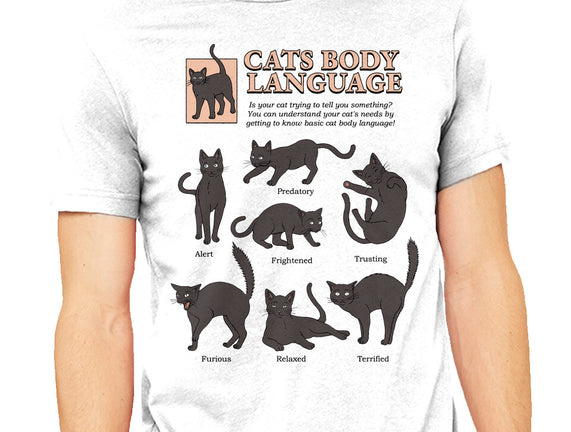 Cats Body Language