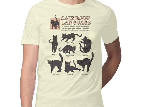 Cats Body Language