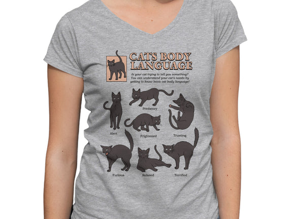 Cats Body Language