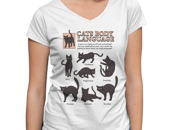 Cats Body Language