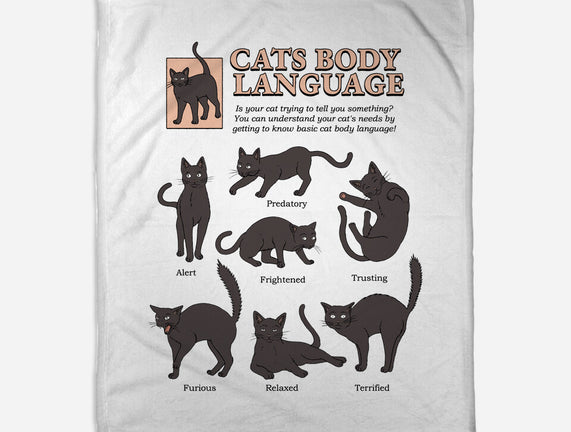 Cats Body Language