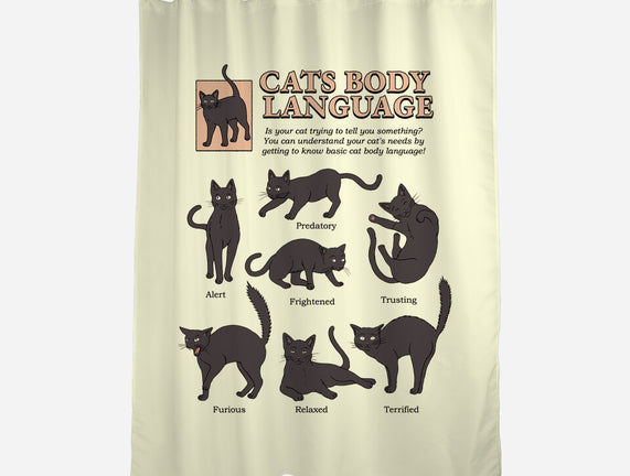 Cats Body Language