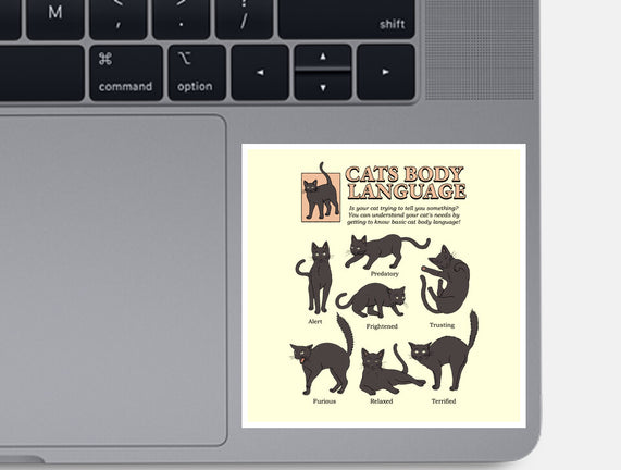 Cats Body Language