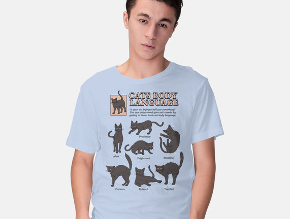 Cats Body Language