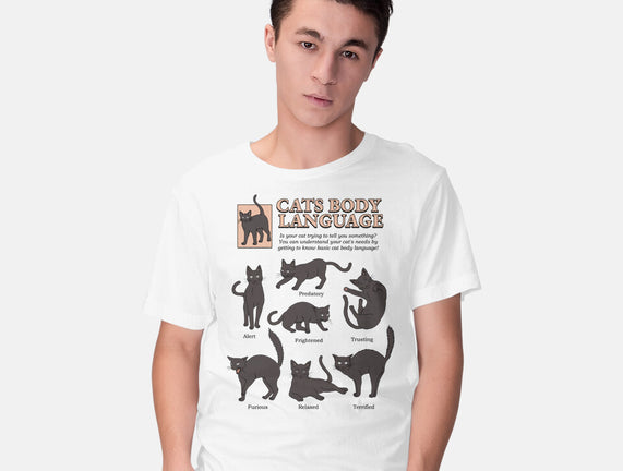 Cats Body Language