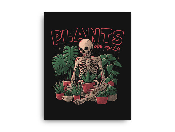 Plants Are My Life