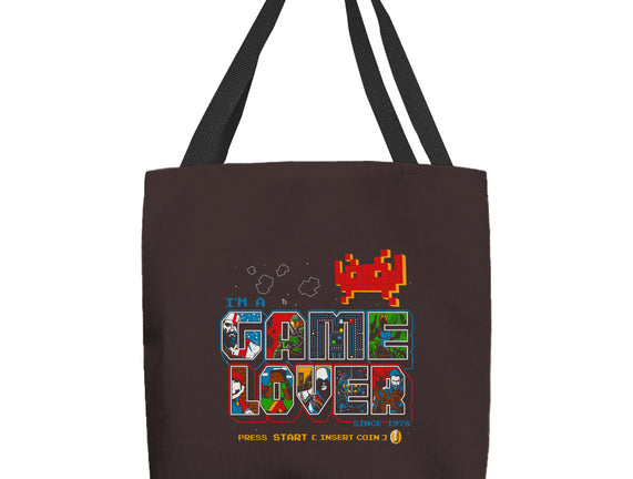 Video Game Lover