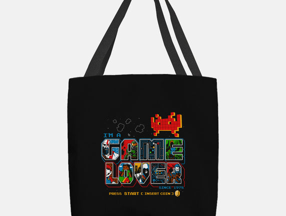 Video Game Lover