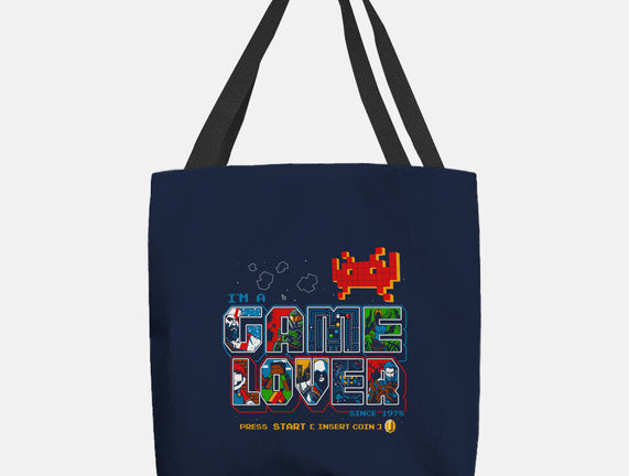 Video Game Lover