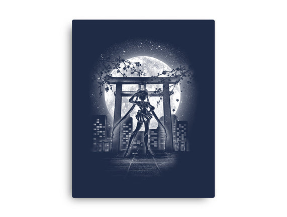 Moonlight Sailor
