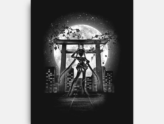 Moonlight Sailor