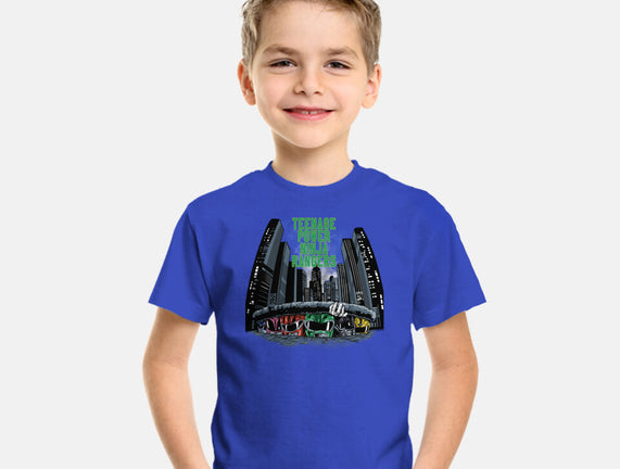 Teenage Power Ninja Rangers