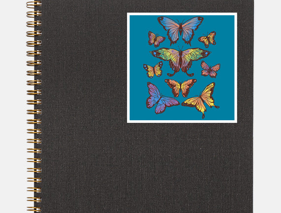 Butterflies
