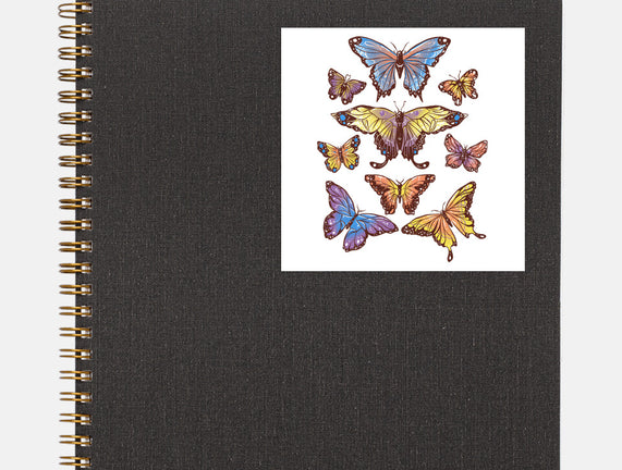 Butterflies
