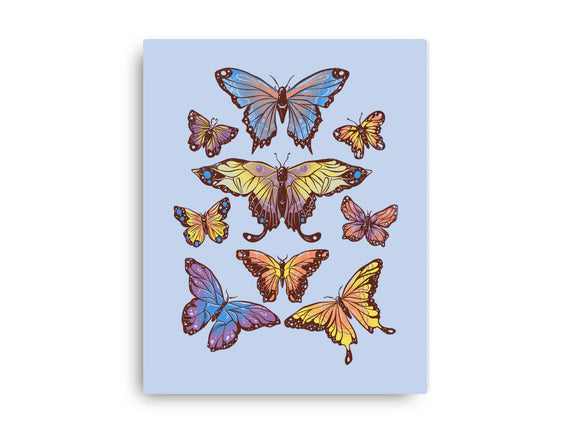 Butterflies