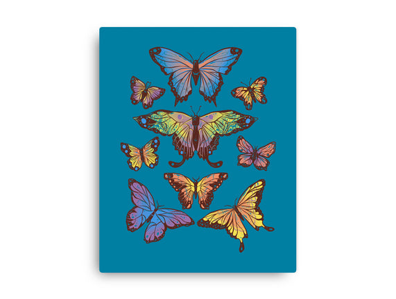 Butterflies