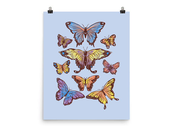 Butterflies