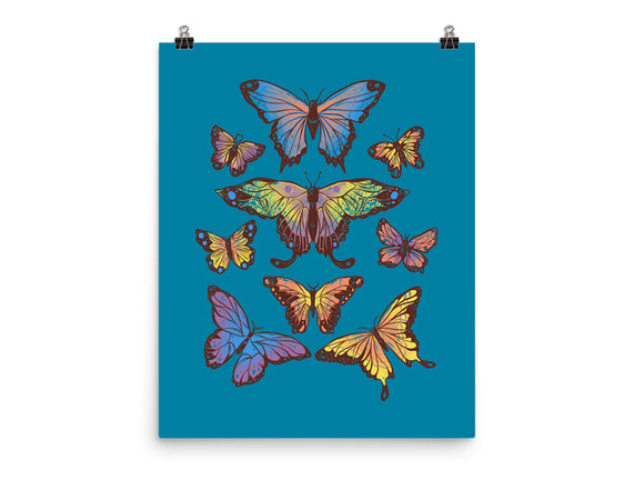 Butterflies