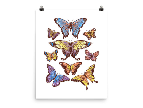 Butterflies