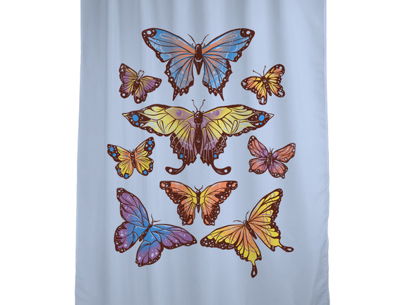 Butterflies