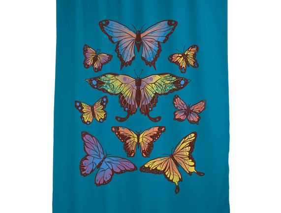 Butterflies