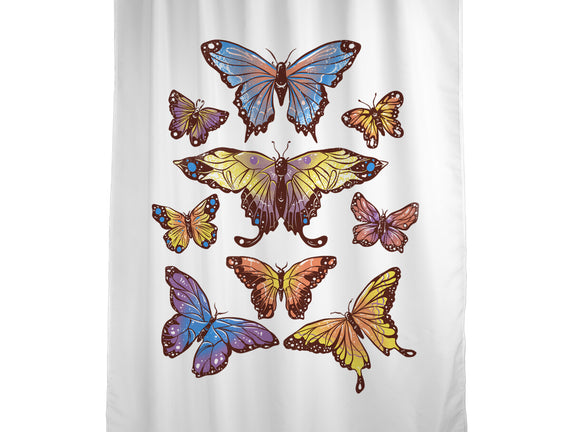 Butterflies