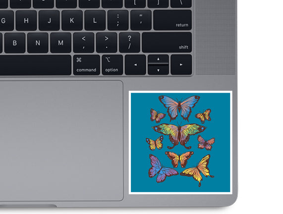 Butterflies