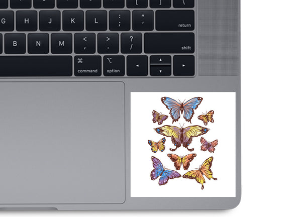 Butterflies