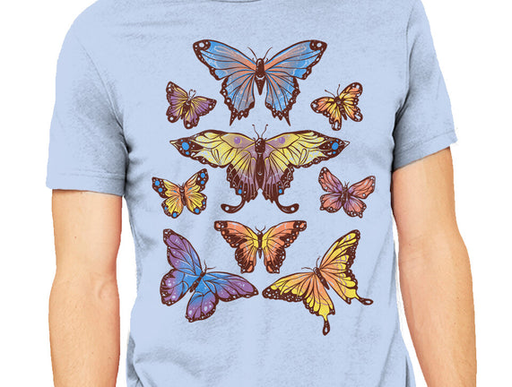 Butterflies