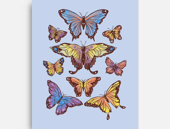 Butterflies
