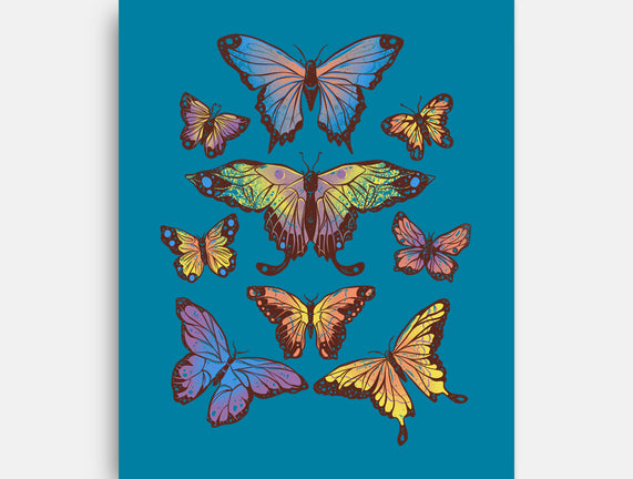 Butterflies