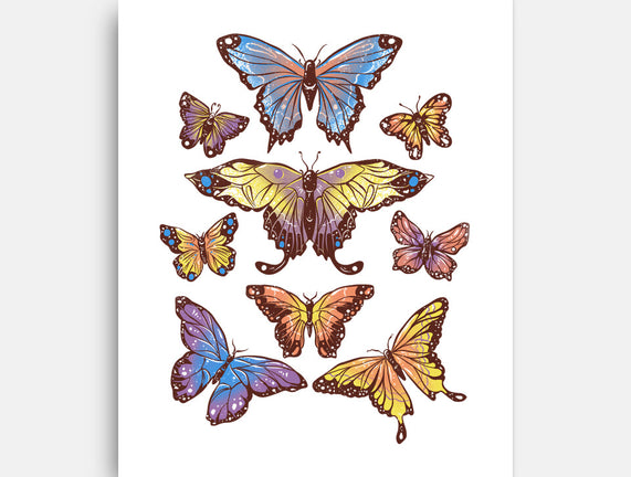 Butterflies