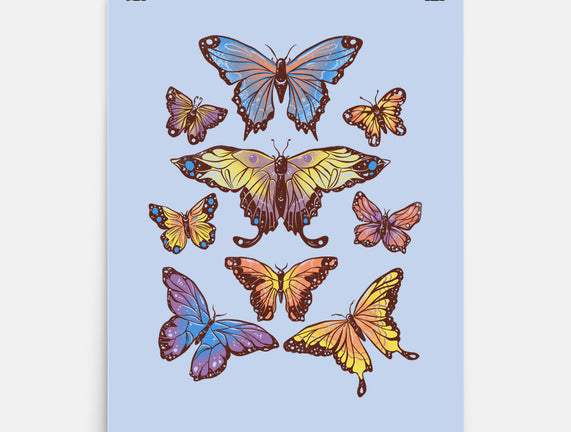 Butterflies