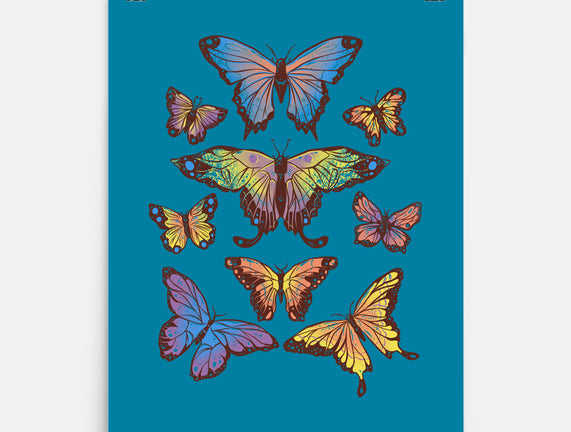 Butterflies
