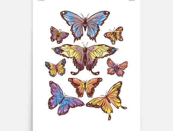 Butterflies