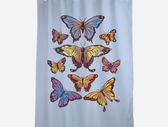Butterflies