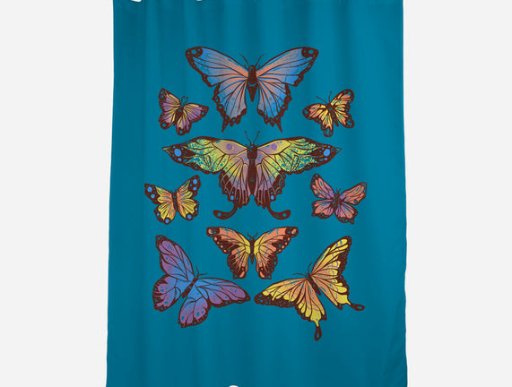 Butterflies