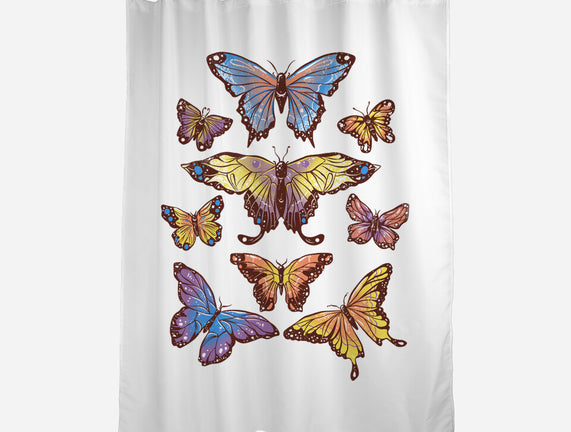 Butterflies